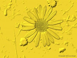 Textile design_Daisy Gold