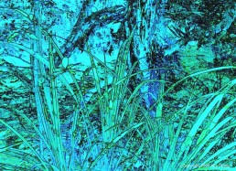 Textile design_Grasses blue